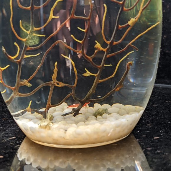 Meet your Posher, Jonathan - Picture 1 of 1